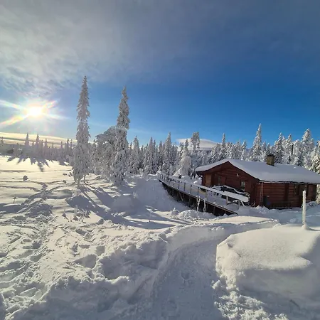 Med Stor Terasse I Flotte Naturomgivelser Honefoss