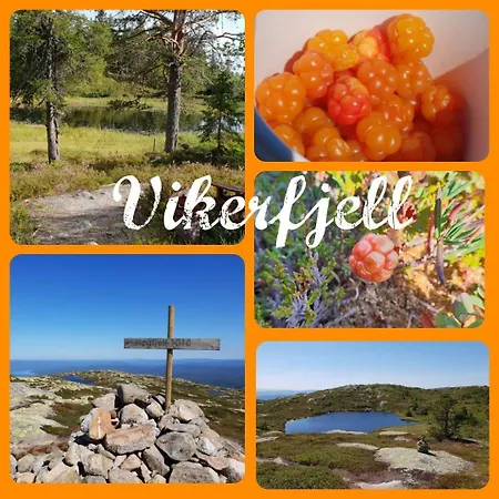 Med Stor Terasse I Flotte Naturomgivelser Hytte