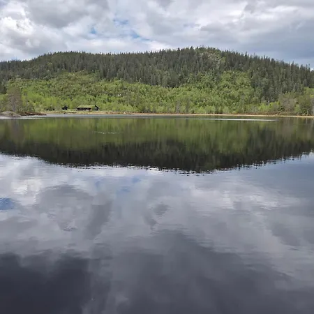 Med Stor Terasse I Flotte Naturomgivelser Honefoss