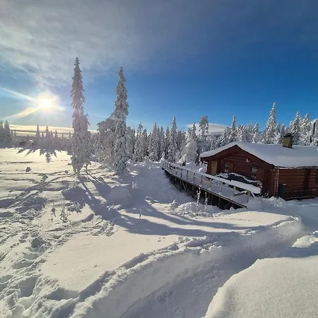Med Stor Terasse I Flotte Naturomgivelser * Honefoss