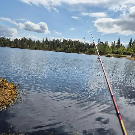 Med Stor Terasse I Flotte Naturomgivelser Honefoss