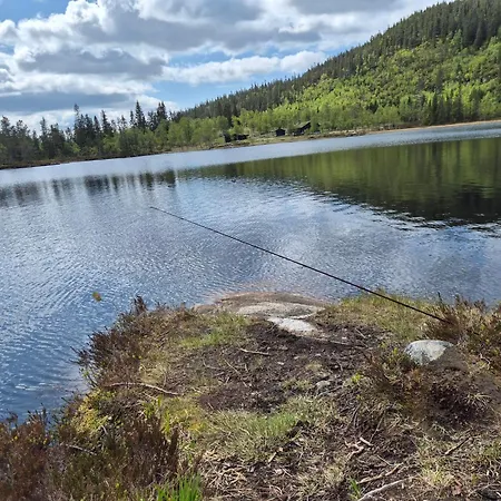 Med Stor Terasse I Flotte Naturomgivelser * Honefoss