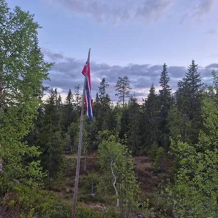 Hytte Med Stor Terasse I Flotte Naturomgivelser *
